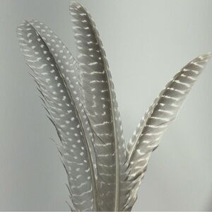 All Natural Guinea Feathers. Gray Pearl Color. Limited Availability.